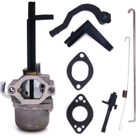 Carburateur pour Briggs & Stratton 796323 796321 796322 699966 (1/5)