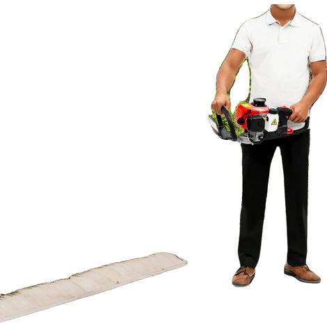 Taille-haie, Lames Double-Face, Moteur Énergétiquement Efficace, noir (1/5)