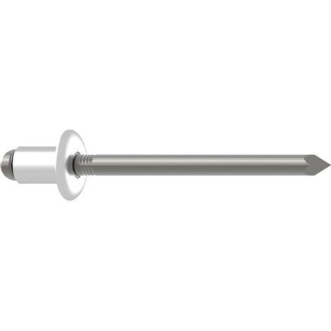Gesipa 1433638 Blindniete Edelstahl Edelstahl 250 St. (1/4)