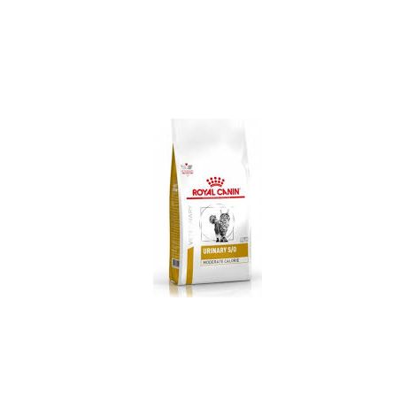 Croquettes vétérinaires pour chats adultes – Urinary S/O 3,5 kg – Dissout les calculs de struvite – Favorise la santé urinaire – Royal Canin