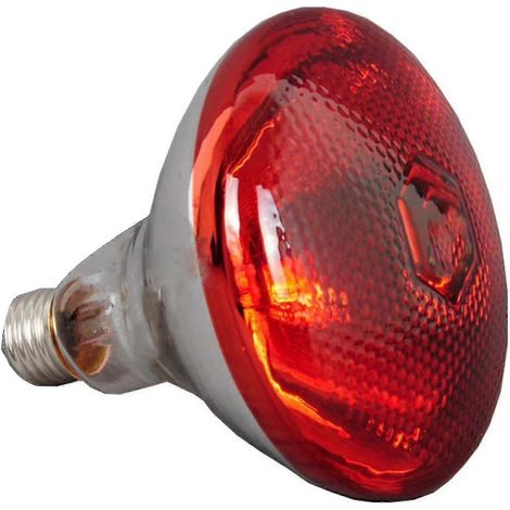 Lampe chauffante infrarouge 250 W étanche, anti-explosion, ampoules épaisses pour porcelets, poulets et canards (1/4)