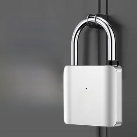 Biometric Fingerprint Padlock, Zinc Alloy, IP65 (Black) (1/5)