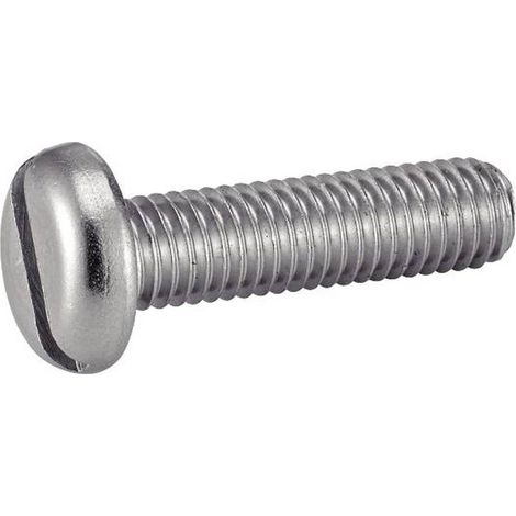 100 Vis à Métaux Tête Cylindrique Fendue 6 x 80 mm - DIN 84 - ISO 1207 - NFE25-127 - UNI 6107 - Inox A2 - D-Work