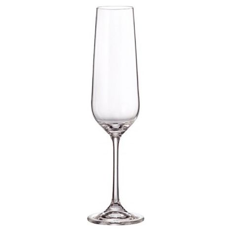 FIORA TORI TITANIUM COPA 210ml CHAMPAN BOHEMIA - RAMON DE CASTRO
