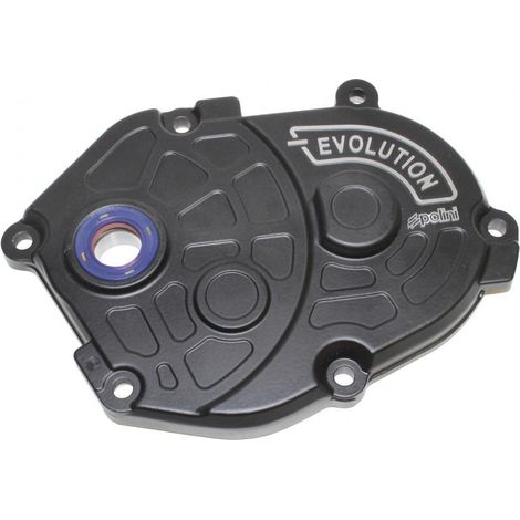 getriebegehäuse polini für roller malaguti 50 f10 ac neu