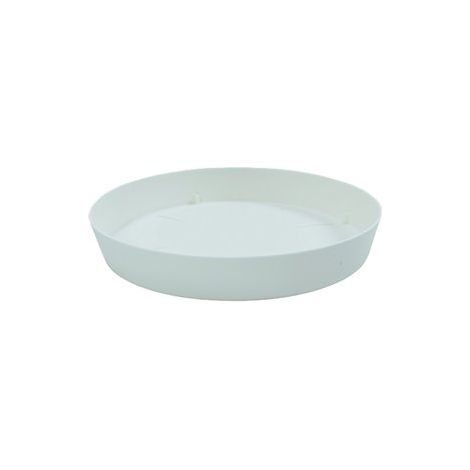 Assiette ronde blanche série Tes 24 cm 8724-BLA