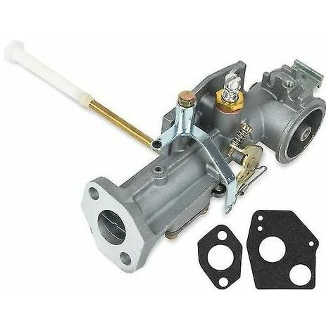 Carburateur Briggs & Stratton Briggs & Stratton 135200 297599, 299437 (1/2)