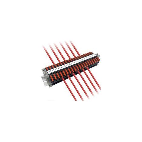 Kit da 20 morsetti DIN elettrici – Terminali a crimpare 0,08-4 mm² – Connessione rapida per cablaggio sicuro – PA ignifugo e rame nichelato (1/5)
