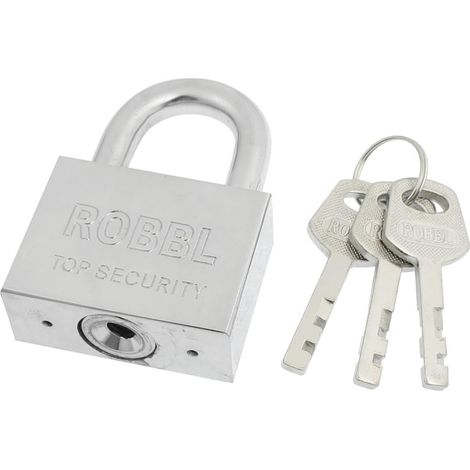 Porte maison 50 mm large, couleur argent, cadre sécurité métallique avec trois portes