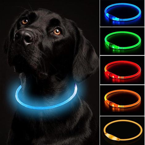 Collier LED rechargeable par USB pour chien - Réglable, sécable, étanche - 3 modes - Tailles S, M et L (1/5)