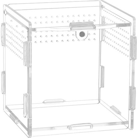 Comedero acrílico para reptiles, 9,5 x 9 x 9 cm, para grillos, arañas, lagartos y caracoles (1/5)