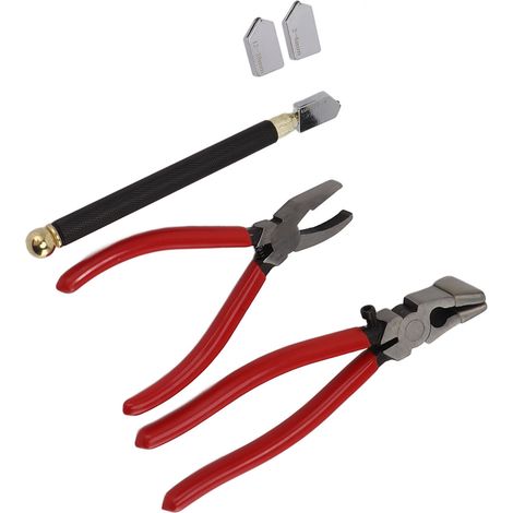 Lot de 2 seringues d'alimentation réutilisables en plastique, acier et alliage pour chèvres, chevaux, moutons, chiens, cochons et chats (10 ml). (1/5)