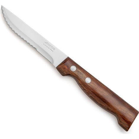 Knife Loins Arcos von Tabelle 372500 Monoblock aus einem Stück Edelstahl und Klinge von 11 cm in der Box (1/5)