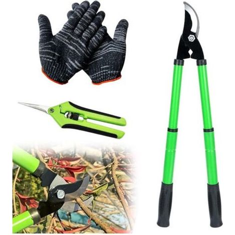 Sécateur télescopique, ciseaux de jardin, coupe-branches avec sécateur à raisin et gants, pour branches, haies, taille de jardinage, 42-61 cm (1/5)