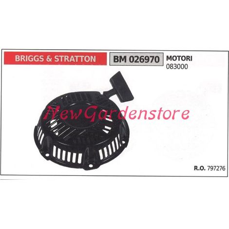 Inbetriebnahme BRIGGS & STRATTON Rasenmähermotor Rasenmäher 026970