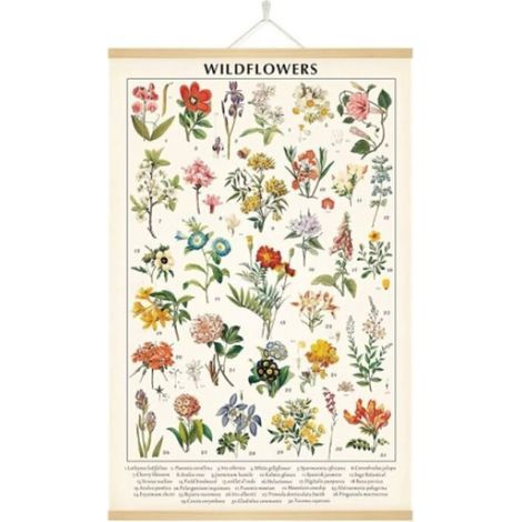 Vintage-Poster mit Wildblumen, botanischer Kunstdruck, farbenfroh (1/5)