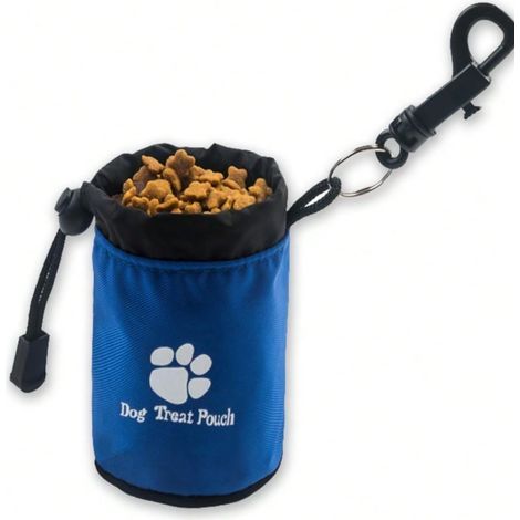 Outdoor treat pouch with multiple storage pockets for pets, ideal for walks, errands and training sessions (blue) (1/5)