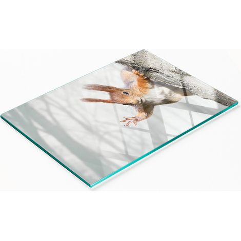 Dekoratives Küchenschneidebrett aus Glas mit Eichhörnchenmotiv, 80 x 52 cm (1/5)