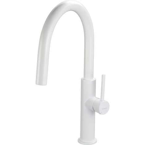 Deante Evora robinet de cuisine bianco BQJA62M blanc