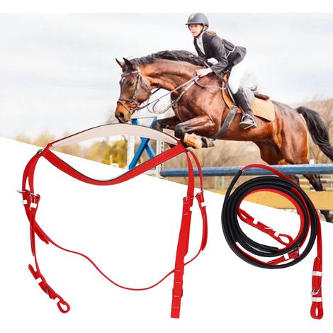 Cabezada para caballo [Hachamore] de nailon, PVC, cuero sintético, con refuerzos y riendas - 540 g. Set de entrenamiento para montar a caballo. (1/5)