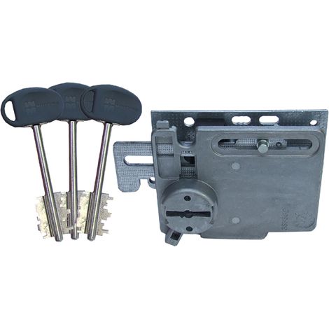 Ricambio Nucleo Quick 91062 Sx MOTTURA