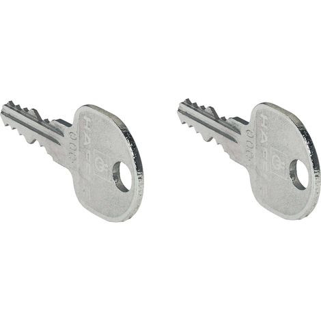 Cyclingcolors – Clé universelle pour cylindre à paillettes – Serrure noyau interchangeable – Verrou de porte et portail – 2 unités