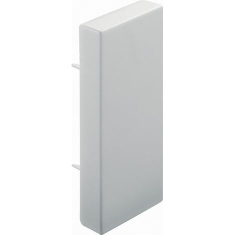 Embout à visser pour goulotte de distribution Viadis 25x16mm blanc Artic (16224)