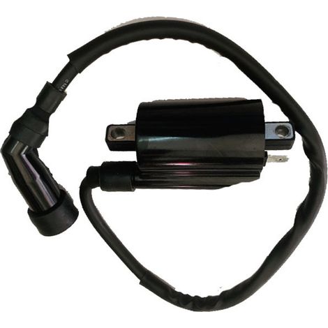 Bobine d'allumage EN125-3E/3A/3F GZ150, bobine haute tension EFI avec capuchon et double aiguille (1/3)