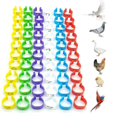 60 Stück Hühner-Identifikationsringe, Vogel-Identifikationsringe, Papageienbeinringe aus Kunststoff, 16 mm Durchmesser, nummeriert, zur Kennzeichnung von Geflügelringen