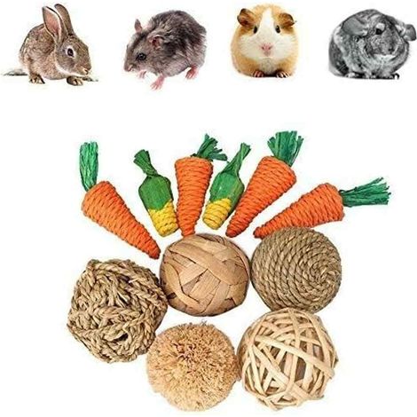 Jouets de cochon d'Inde, jouets de carotte à macher pour hamster, 11 pièces jouets de hamster pour les soins dentaires, jouets (1/5)
