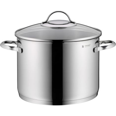 WMF Pentola per Verdure, Diametro 24 cm, Circa 8,8 l Provence Plus Coperchio in Vetro Cromargan in Acciaio Inox lucidato, Adatto a induzione, Lavabile in lavastoviglie, Inossidabile, Argento (1/5)