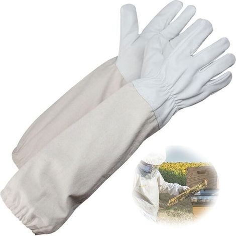 Gants Apiculteur Blanc, Équipement Protection (1/5)