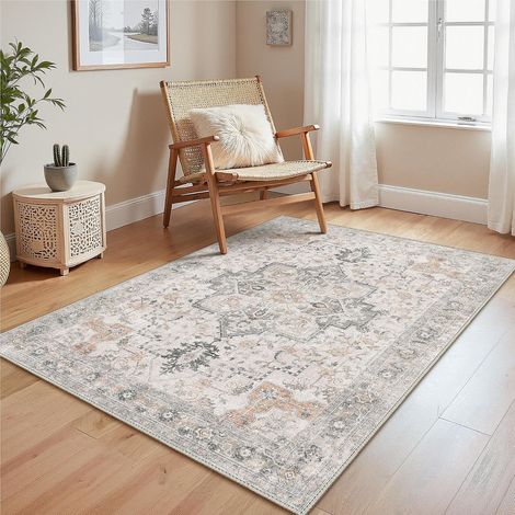 Tapis Lavable pour Salon 120x170cm Taupe Clair (1/5)
