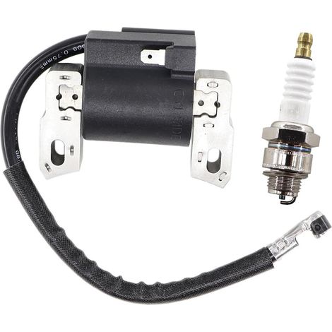 Ignition Coil Module Magneto For Briggs And Stratton Quantum 5HP 590454 802574, 796964,695711Engine Spark Plug Lawn Mower