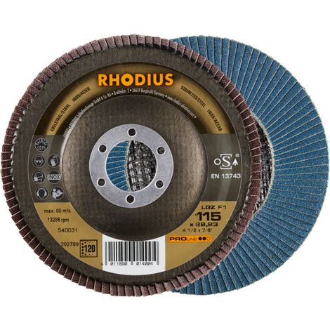 Disque à lamelle Rhodius LGZ F1 10 pièces