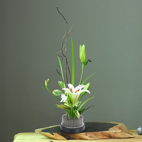 Aiguille porte-fleurs Kenzan ronde, accessoire de composition florale, outil en acier inoxydable (1/5)