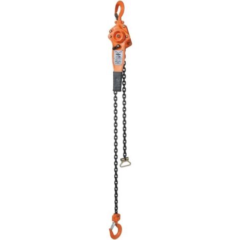Robur 8146 Paranco a leva - 0,75 Ton x 3,0 m (1/3)