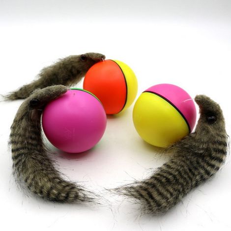 Elektronisches Haustierspielzeug – Elektrischer Ball für Wiesel – Lustiges und mobiles Spielzeug für Hunde und Katzen