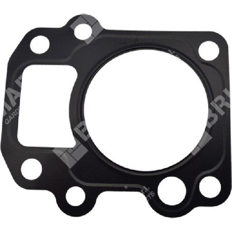 Guarnizione testata per motopompe DUCAR 96024 Compatibile - 049589