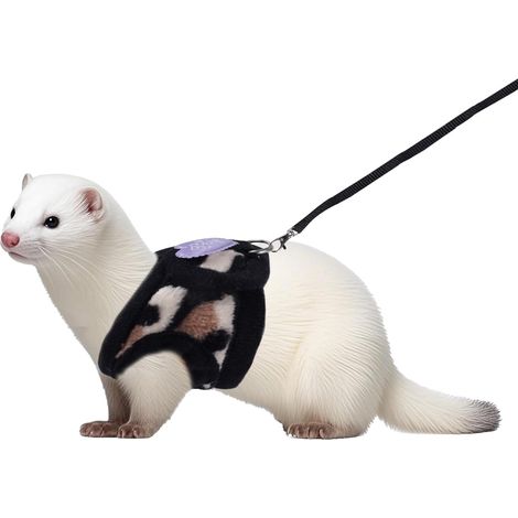 Ensemble Harnais et Laisse pour Petits Animaux, Imprimé Léopard Laisse et Harnais pour Furet Doux Kit de Vêtements pour Furet pour Petits Animaux Lapin Furet Cochon d'Inde Hamster Chiot Chaton (1/5)