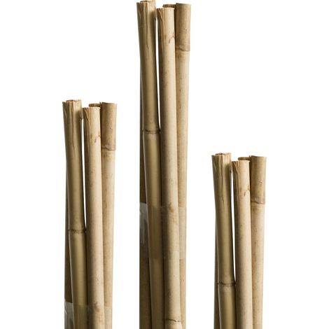 Windhager Tonkinstäbe 60cm 10 Stück Rankhilfen (1/3)