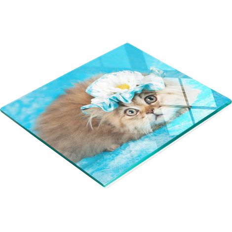 Vassoio decorativo in vetro con grafica di gatto per servire snack, 60x52 cm (1/5)