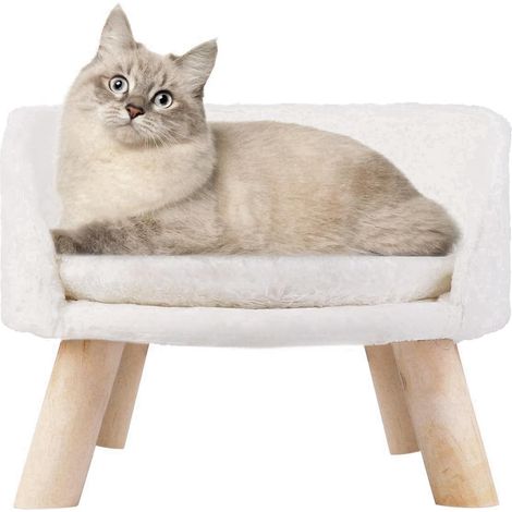 BingoPaw Divanetto per Gatti cucciolo Cuccia 40cm Rotondo Letto Rialzato per inferiore a 10 kg (1/5)