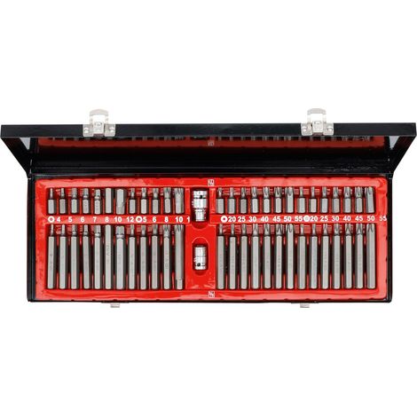 Scatola di punte Torx maschio, Torx forati, XZN, esagonali 54 pezzi
