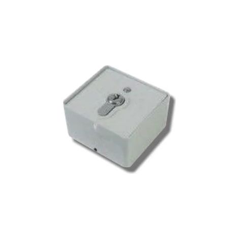 SELRL1C - SELETTORE A CHIAVE A SUPERFICIE IN ALLUMINIO CARDIN SELRL1C AUTOMAZIONE GARANZIA (1/3)