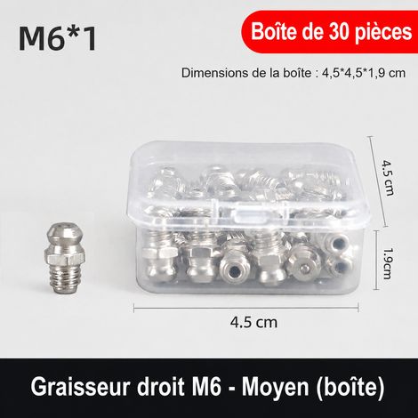 Boîte de 30 graisseurs droits M6 en fer nickelé m6 30 10 300 g – Livraison gratuite