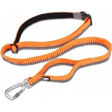 FLEXIBLE Leine zum Laufen mit Hund STRONG BUNGEE L (1/5)