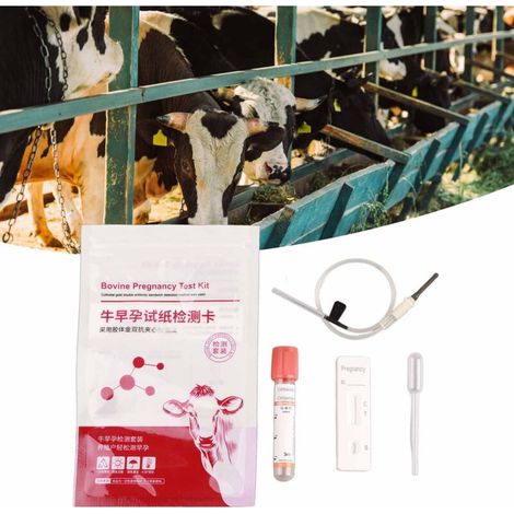 Kit de Test de Grossesse Bovin - Complet et Sensible - Diagnostic Précoce Rapide pour Vaches - Accessoire Ferme (1/5)