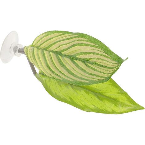 Les tapis de feuilles pour poissons betta, imitant les feuilles de frai naturelles, constituent des supports de repos efficaces pour les poissons betta pendant la ponte et la reproduction. (1/5)