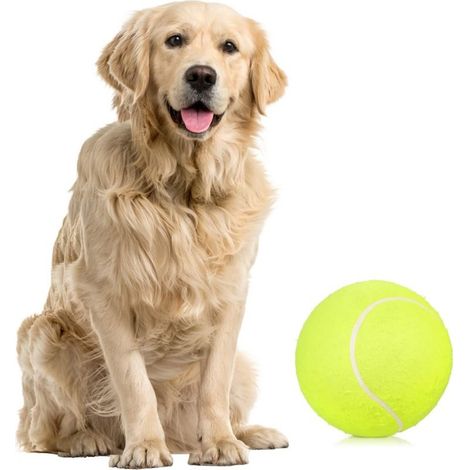 Balle of tennis for dogs, 9,5" Balle of tennis geante, toy for dog of size average and large, indoor and outdoor (1/4)